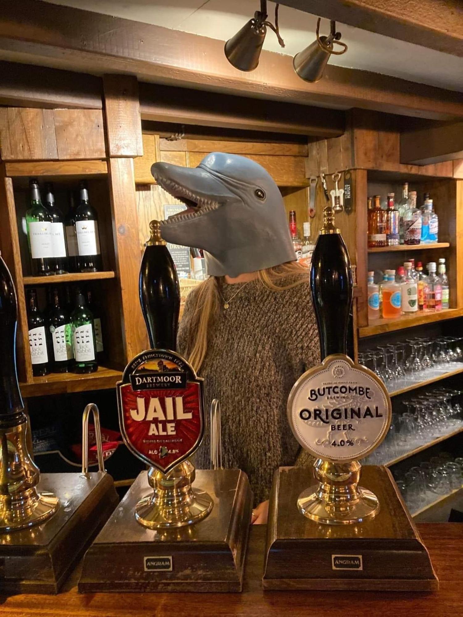 The Dolphin Inn 킹스브리지 객실 사진